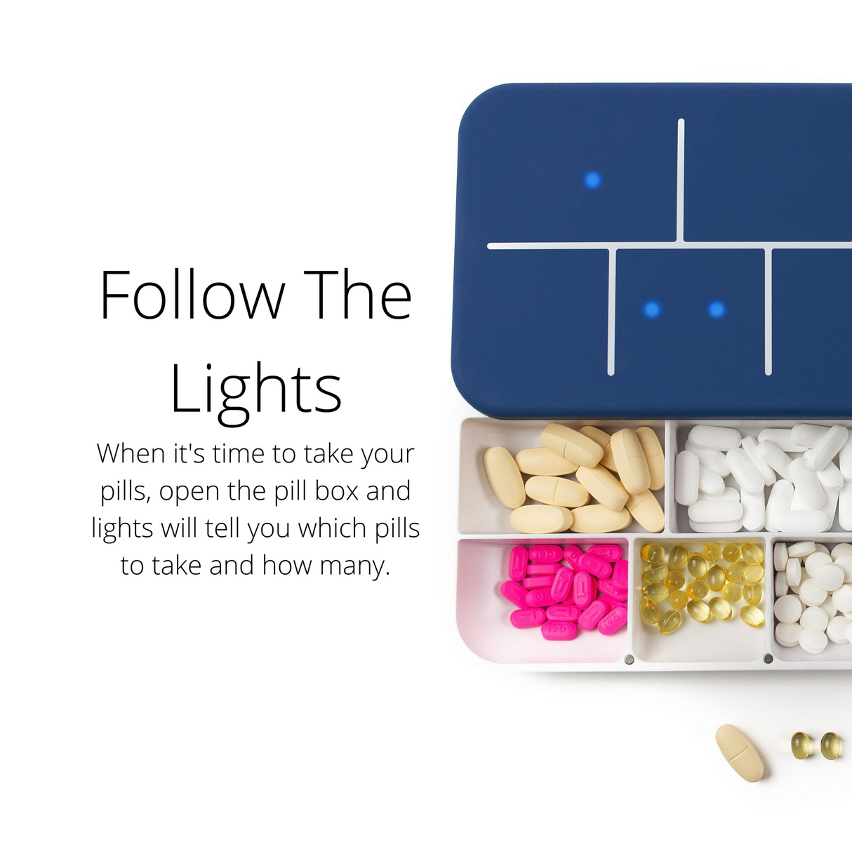 Ellie Monthly Pill Organizer