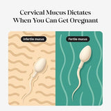 kegg Fertility Tracker with Free App – Gold