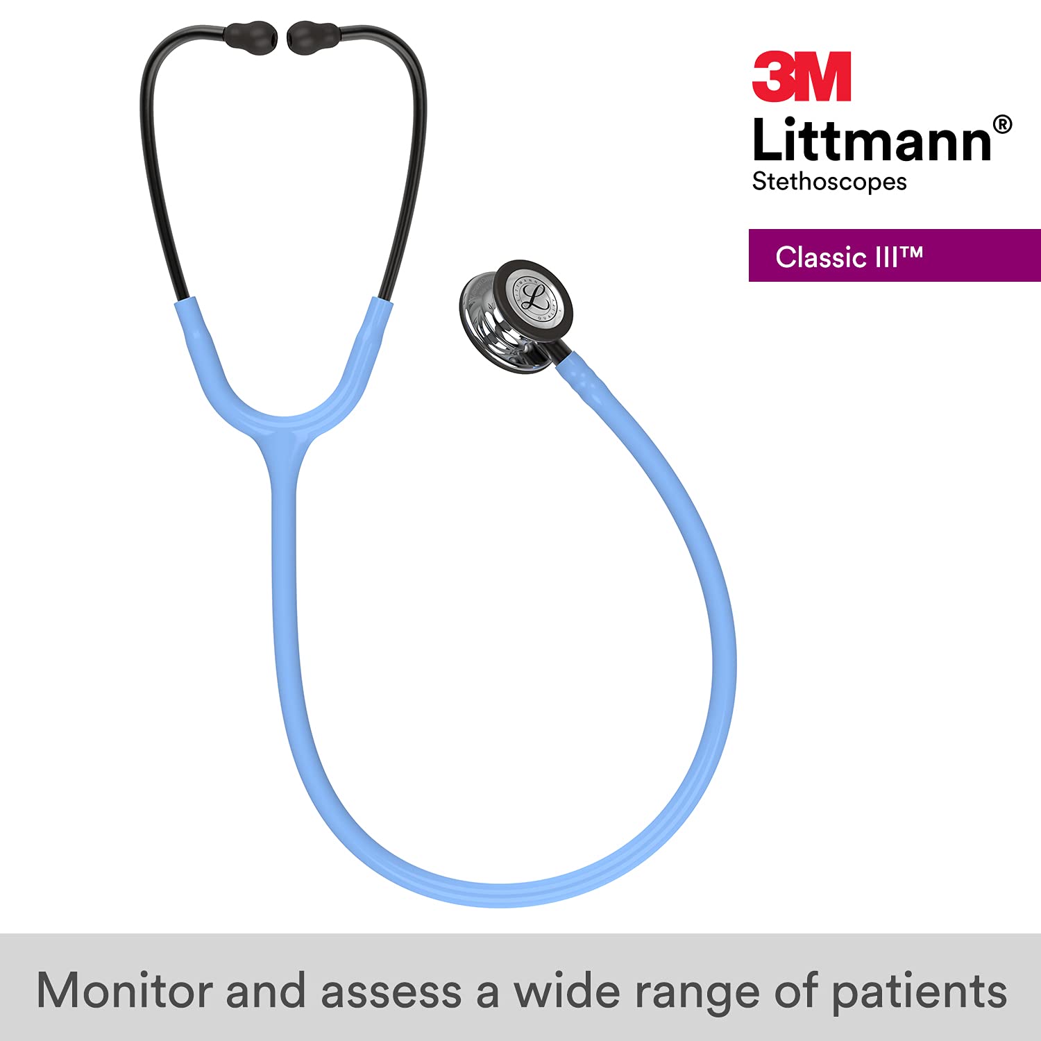 □美術品□Blue・ Esox Lucius□２３cm◇ Copen◇ Lightweight Stethoscope: 2450 Littmann Lightweight II S.E.
