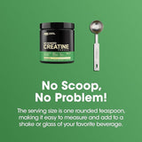 Optimum Nutrition Creatine Monohydrate – Unflavored, Micronized Powder