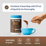 Vital Proteins Collagen Peptides Powder – Chocolate Flavor