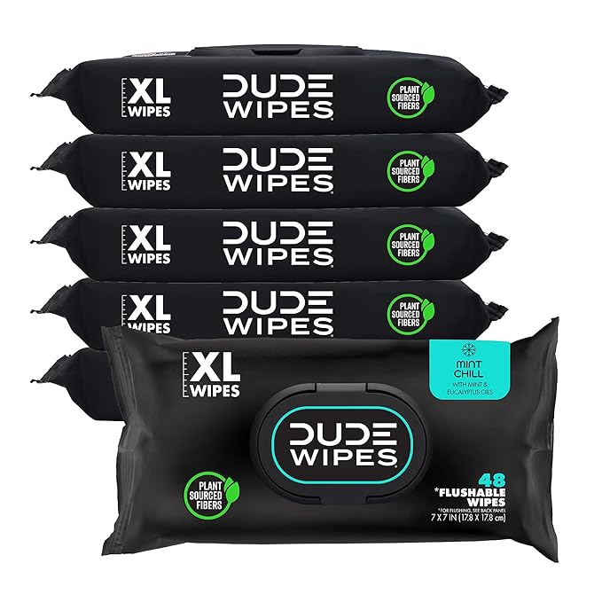 DUDE Wipes – Extra Large Flushable Wipes (6-Pack, 288 Wipes)