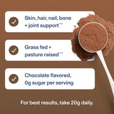 Vital Proteins Collagen Peptides Powder – Chocolate Flavor