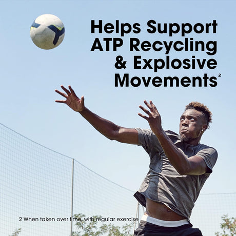 Optimum Nutrition Creatine Monohydrate – Blueberry Lemonade Flavor