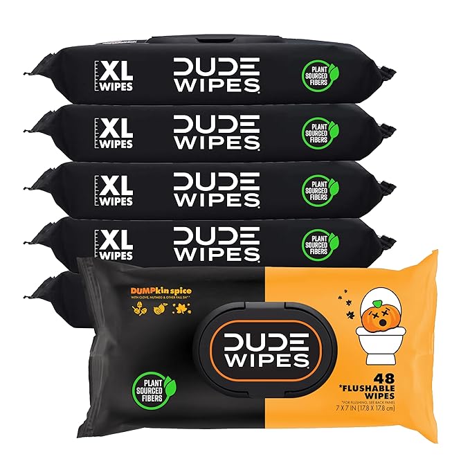 DUDE Wipes – Extra Large Flushable Wipes (6-Pack, 288 Wipes)