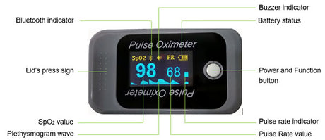 BerryMed BM1000-GBT Bluetooth Pulse Oximeter – Gray