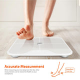 iHealth Nexus Wireless Body Composition Scale