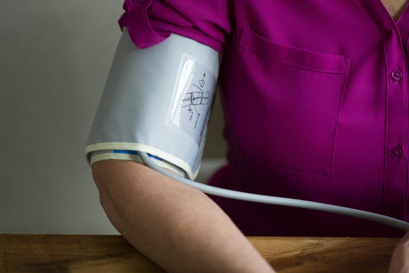 Bioland Blood Pressure Monitor (2006-2B)